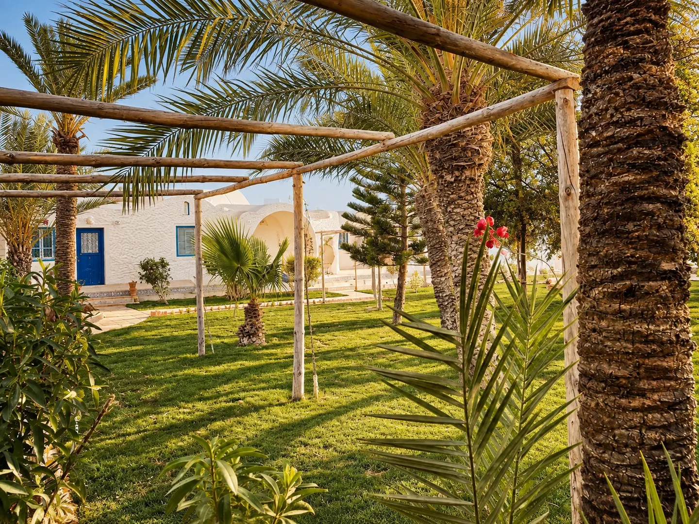 Jardin et pergola en bois entre les palmiers