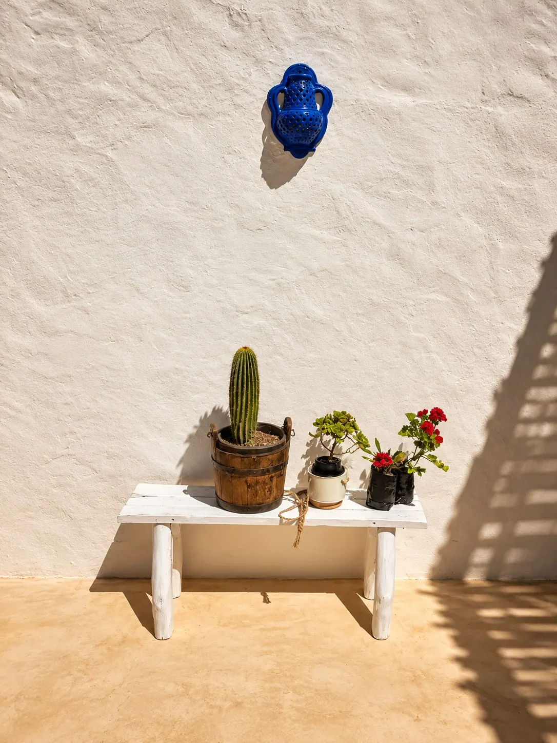 Céramique bleue ajourée sur un mur blanchi à la chaux, banc blanc avec cactus et géraniums