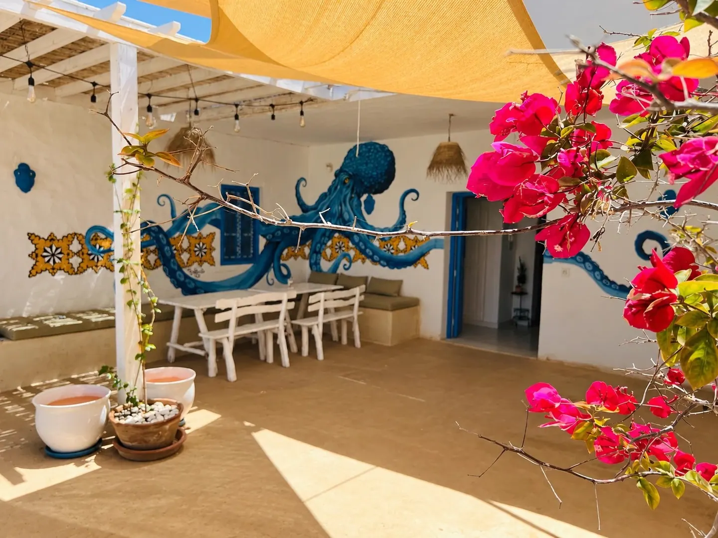Fresque de pieuvre bleue sur les murs du patio, bougainvillier en fleurs